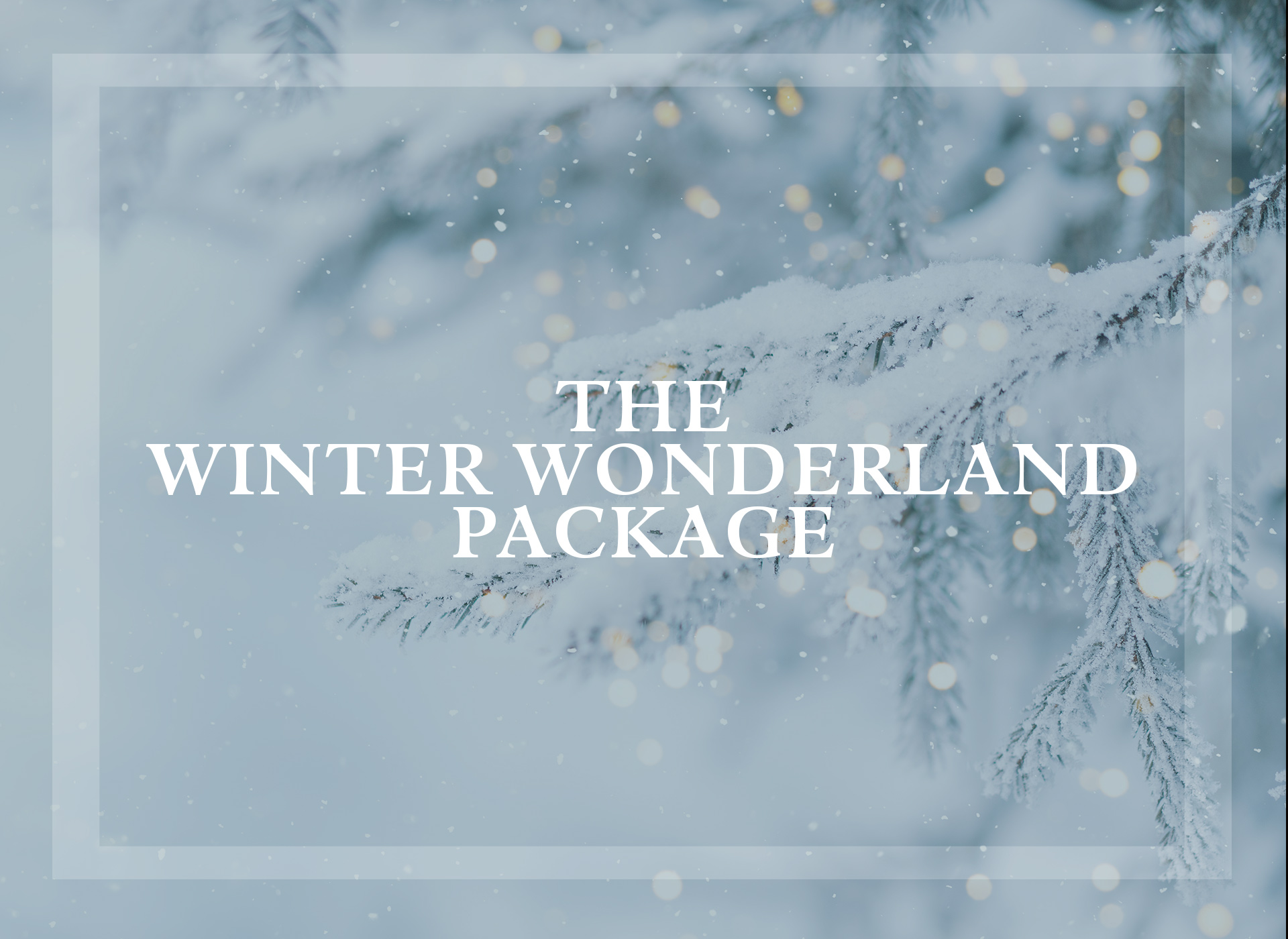 The Winter Wonderland Package